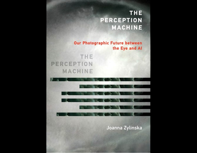 Book Cover: The Perception Machine